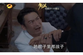 金融催收大数据分析：提升效率，优化策略