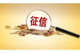 欠款电话催收流程表格模板：高效管理催收工作的利器