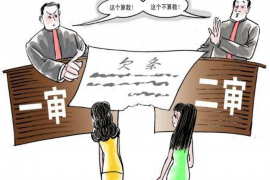 违规催收侵犯名誉权：法律保护与维权途径