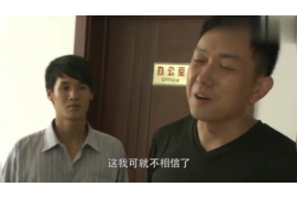 高炮催收债务问题:剖析行业痛点与应对策略 高炮催收债务问题:剖析行业痛点与应对策略