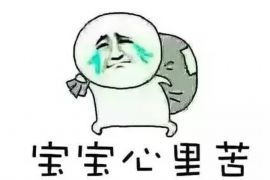 讨债公司是哪里管的？揭秘讨债行业的监管体系