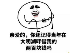 镇原收债公司电话号码查询：高效解决债务问题