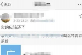 帮人讨债的主播：新兴职业背后的法律与道德考量